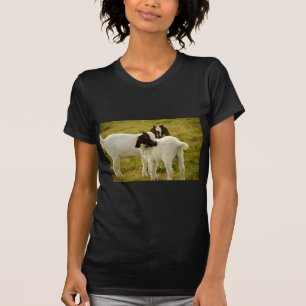 Camiseta Foto de cabritos Boer marrones y blancos en pastiz