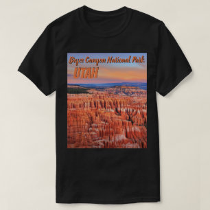 Camiseta Foto de la puesta del sol del desierto del parque