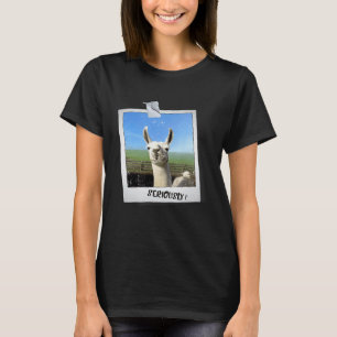Camiseta Foto de Llama Alpaca diciendo enserio