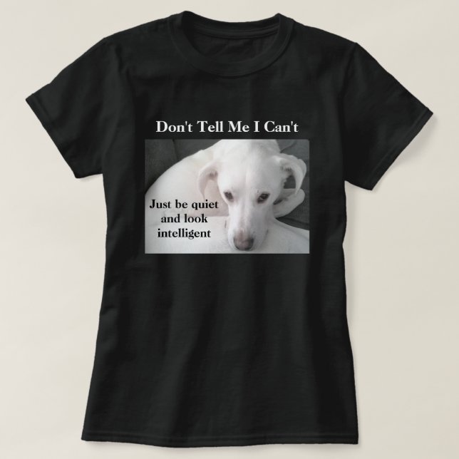 Camiseta Foto de perro blanco lindo con mensaje gracioso T  (Diseño del anverso)