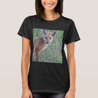 Foto de Red Fox