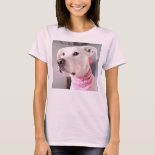 Camiseta Foto de un perro adornado con una bufanda rosada T