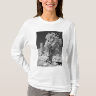 Camiseta Foto infrarroja en el lado este del Parque Naciona