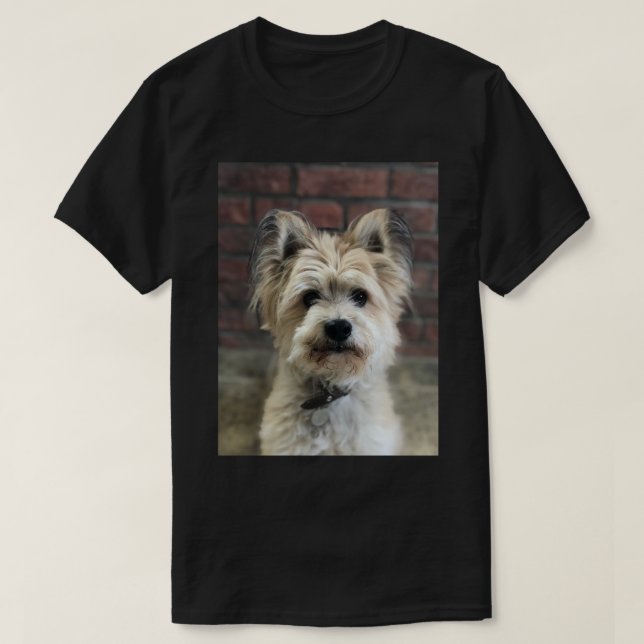 Camiseta Foto Terrier de perro personifica el algodón (Diseño del anverso)
