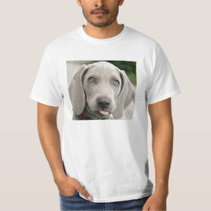 Camiseta Foto tonta de Weimaraner
