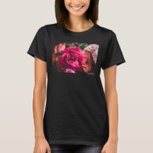 Fotografía de Flor de Rosa Rosa Vibrante Floral