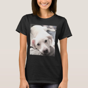 Camiseta Fotografía de la ruta de los perros callejeros sob
