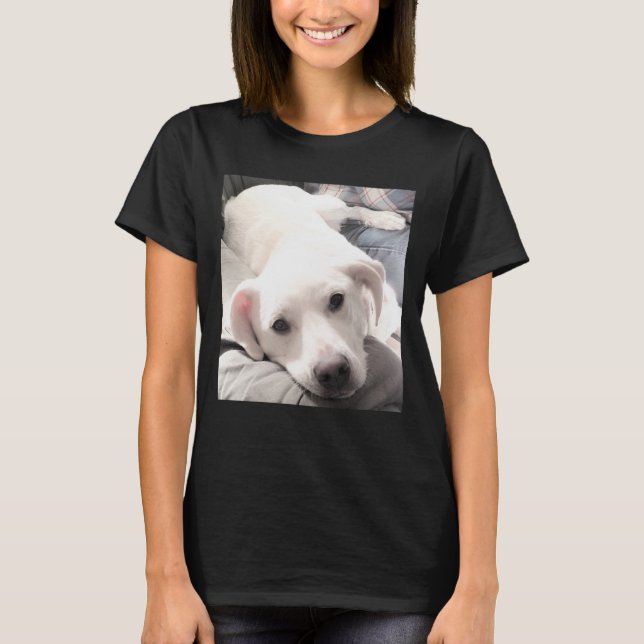 Camiseta Fotografía de la ruta de los perros callejeros sob (Anverso)