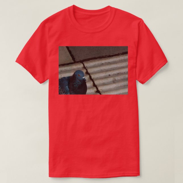 Camiseta Fotografía de pichón (Diseño del anverso)