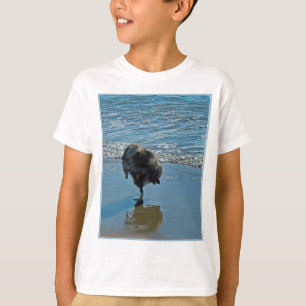 Camiseta Fotografía del Ballet Keeshond - Arte de Perro Ori