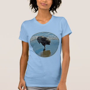 Camiseta Fotografía del Ballet Keeshond - Arte de Perro Ori
