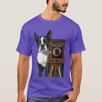 Fotógrafo de Boston Terrier 2