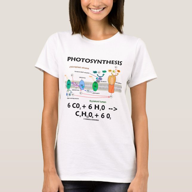 Camiseta Fotosíntesis (dióxido de carbono + Agua) (Anverso)