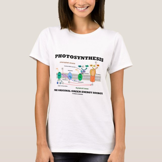 Camiseta Fotosíntesis la fuente de energía verde original (Anverso)