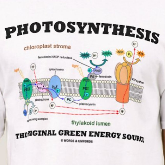 Camiseta Fotosíntesis La Fuente Original De Energía Verde (Tee featuring light-dependent reactions of photosynthesis)