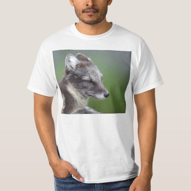 Camiseta Fox ártico (Anverso)