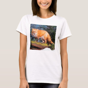 Camiseta Fox rojo en un registro