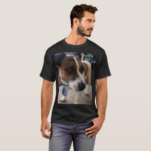 Camiseta Fox Terrier, Atraction Mens Black T-shirt