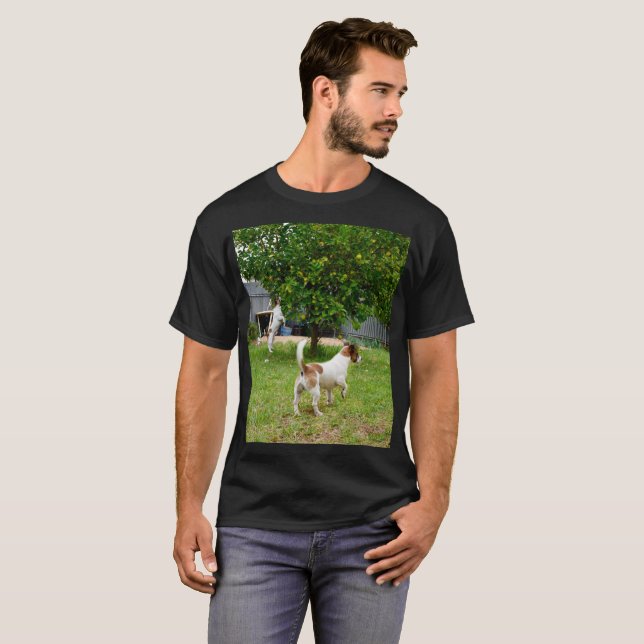 Camiseta Fox Terrier Saltando A Un Árbol, (Anverso completo)