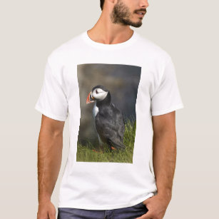 Camiseta Frailecillo (arctica) del Fratercula, Staffa, de