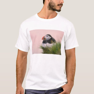 Camiseta Frailecillo atlántico (Fratercula arctica)