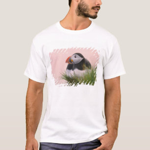 Camiseta Frailecillo atlántico (Fratercula arctica)