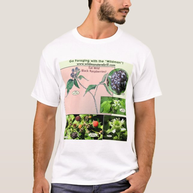 Camiseta Frambuesas negras salvajes del desgaste (Anverso)