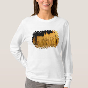 Camiseta Francia, Aviñón, Provenza, Palacio Papal por la no