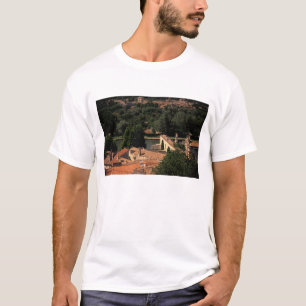 Camiseta Francia, Aviñón, Provenza. Pont St, Benezet.