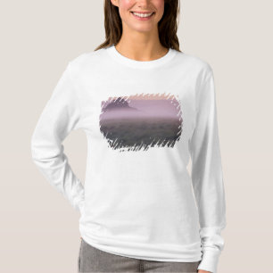 Camiseta FRANCIA, Normandía Mont St. Michel. Niebla matutin