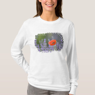 Camiseta Francia, Provenza. Amapola solitaria en campo de