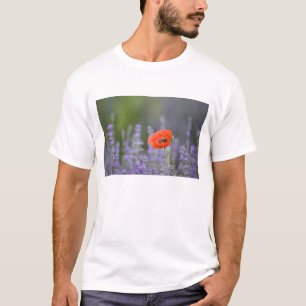 Camiseta Francia, Provenza. amapola solitaria en el campo
