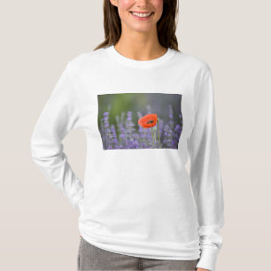 Camiseta Francia, Provenza. amapola solitaria en el campo