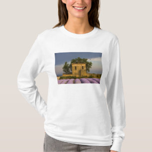 Camiseta Francia, Provenza. Campo de lavanda y