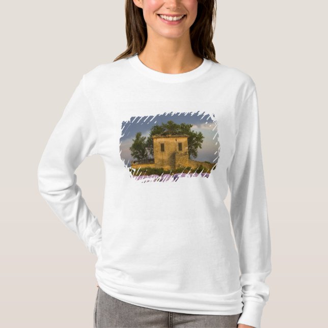 Camiseta Francia, Provenza. Campo de lavanda y (Anverso)