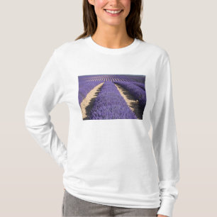 Camiseta Francia, Provenza. Filas de lavanda en flor.3