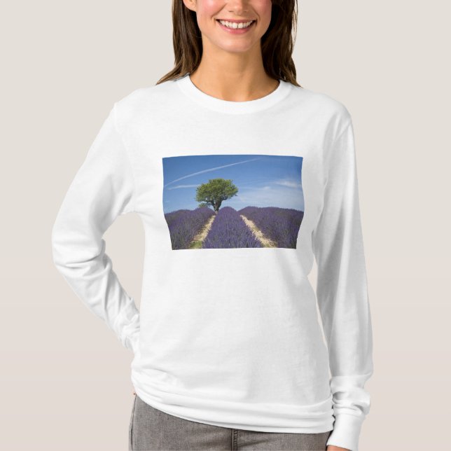 Camiseta Francia, Provenza. Filas de lavanda en flor.4 (Anverso)