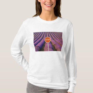 Camiseta Francia, Provenza. Filas de lavanda y alto