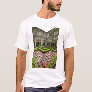 Camiseta Francia, Provenza, St. Remy-de-Provence.Jardín