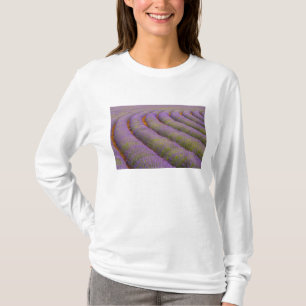 Camiseta Francia, región de Provenza. Filas curvas de