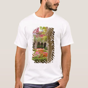 Camiseta Francia, St. Remy de Provence, claustro en