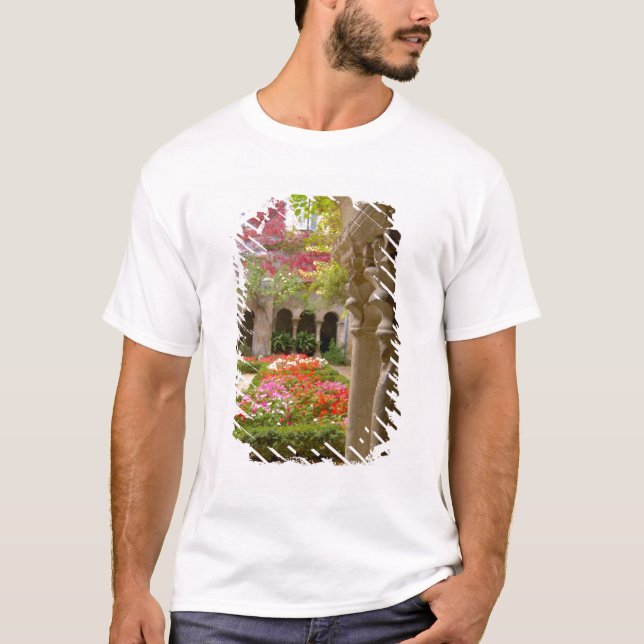 Camiseta Francia, St. Remy de Provence, claustro en (Anverso)
