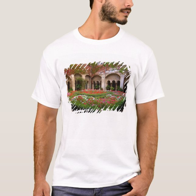 Camiseta Francia, St. Remy de Provence, claustro en 2 (Anverso)