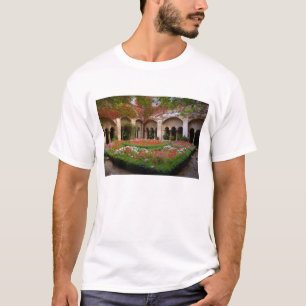 Camiseta Francia, St. Remy de Provence, claustros a las 2