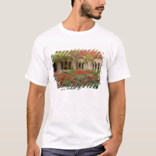 Camiseta Francia, St. Remy de Provenza, claustros a las 3