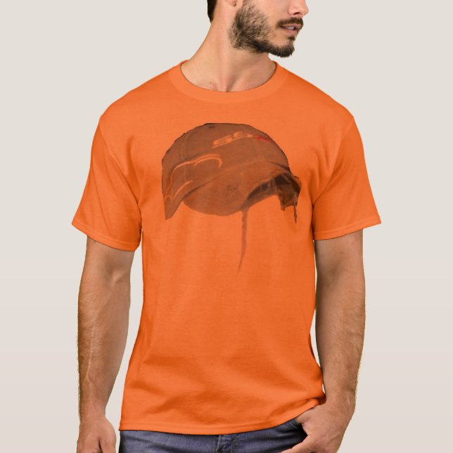 Camiseta franja (Anverso)