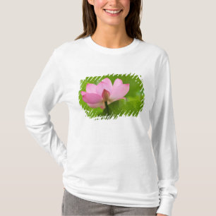 Camiseta Franklin NC, Jardín de Agua de Perry, Loto