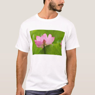 Camiseta Franklin NC, Jardín de agua de Perry, Loto