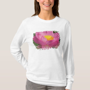 Camiseta Franklin NC, Perry's Water Garden, Lotus 2