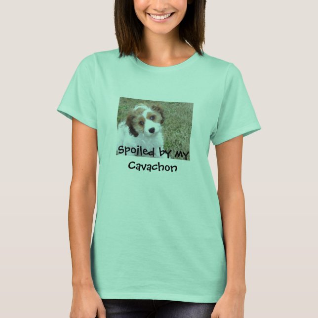 Camiseta Fraude (Anverso)